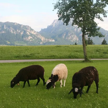 Salenberghof Panorama
